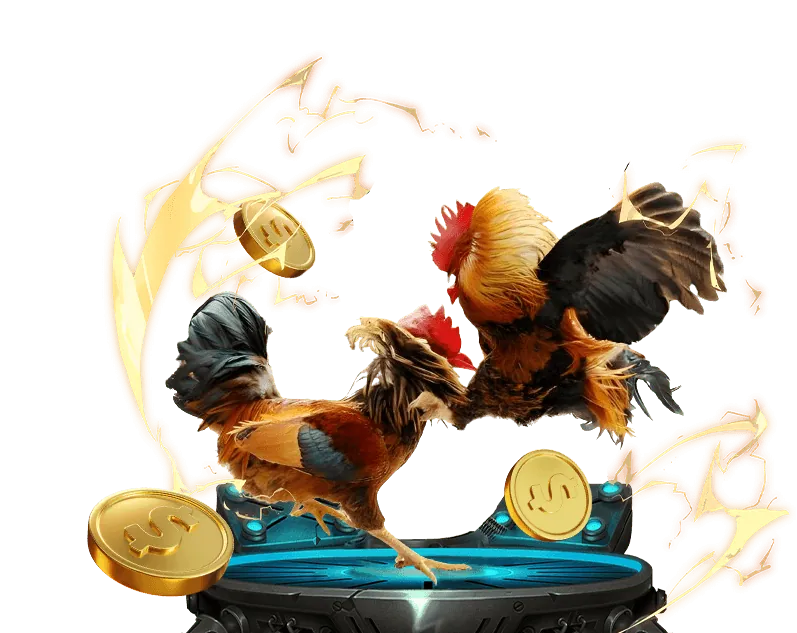 Gà Peru mạnh mẽ